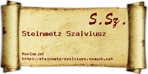 Steinmetz Szalviusz névjegykártya
